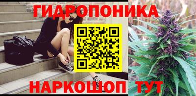 PSILOCYBIN Кулебаки