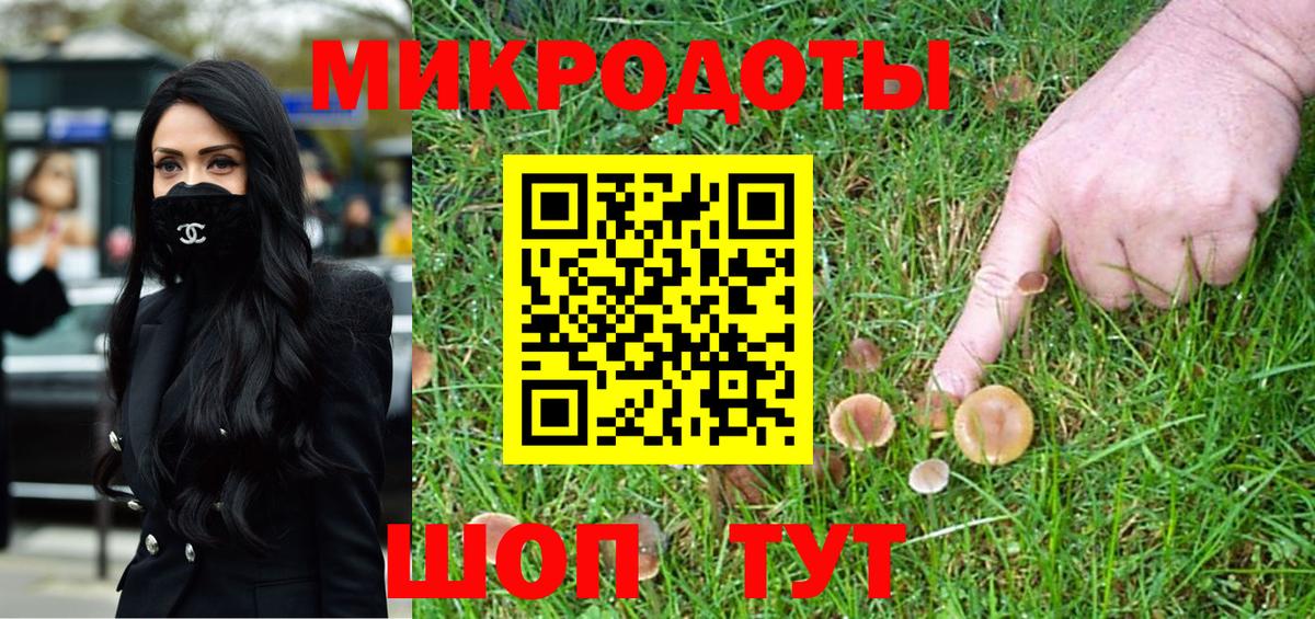 Псилоцибиновые грибы Psilocybe Калининград