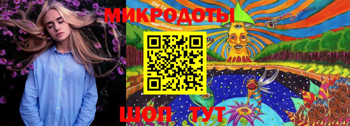 Калининград  даркнет сайт  Вход с VPN  Галлюциногенные грибы Psilocybe 